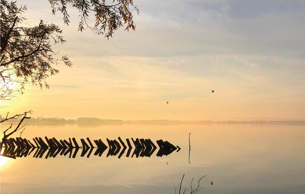 Amazing Home In Lembruch-Duemmer See With Sauna Esterno foto